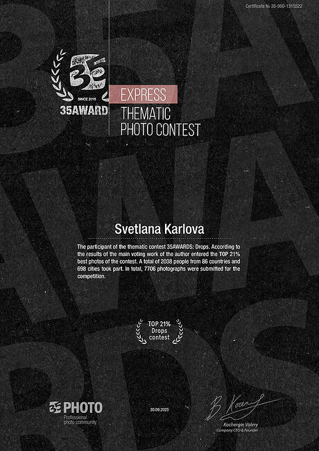 Светлана Карлова. МОИ ПРЕМИИ. 35AWARDS Certificate